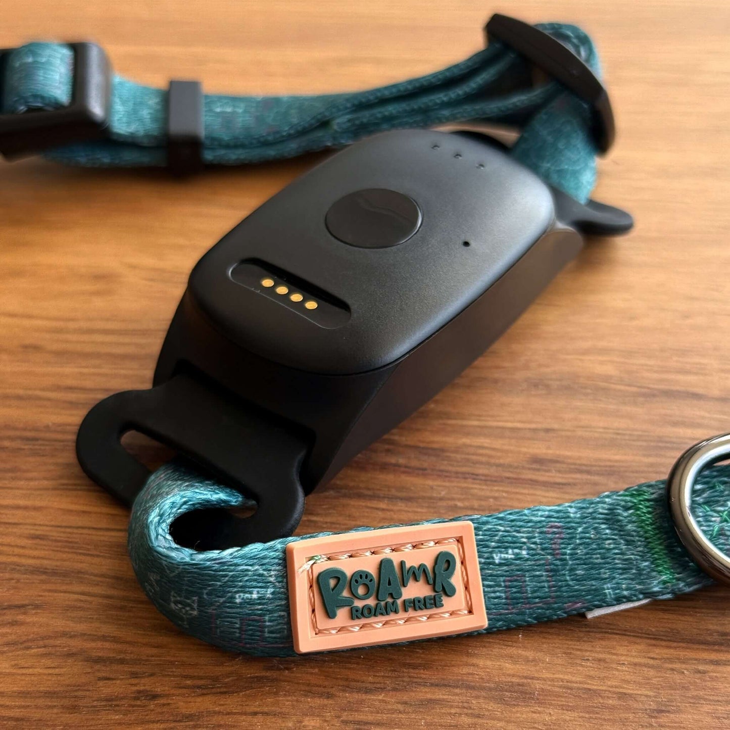 Roam Safe Collar (Small Pets)