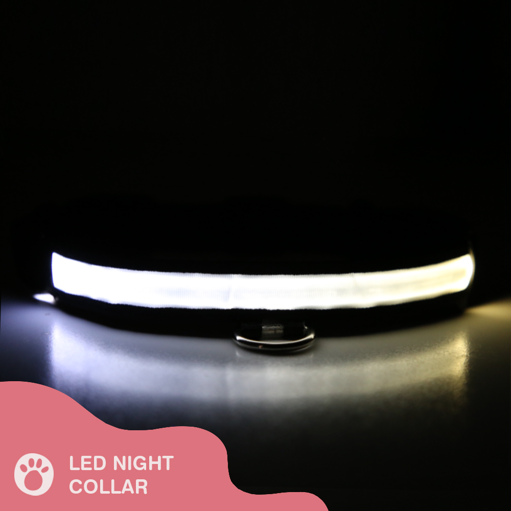 LED Night Collar