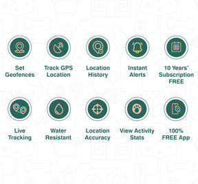 Key features of the Roam Safe Pet Tracker. 