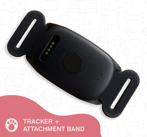 The Roam Safe Tracker shown on the silicone attachment band. 