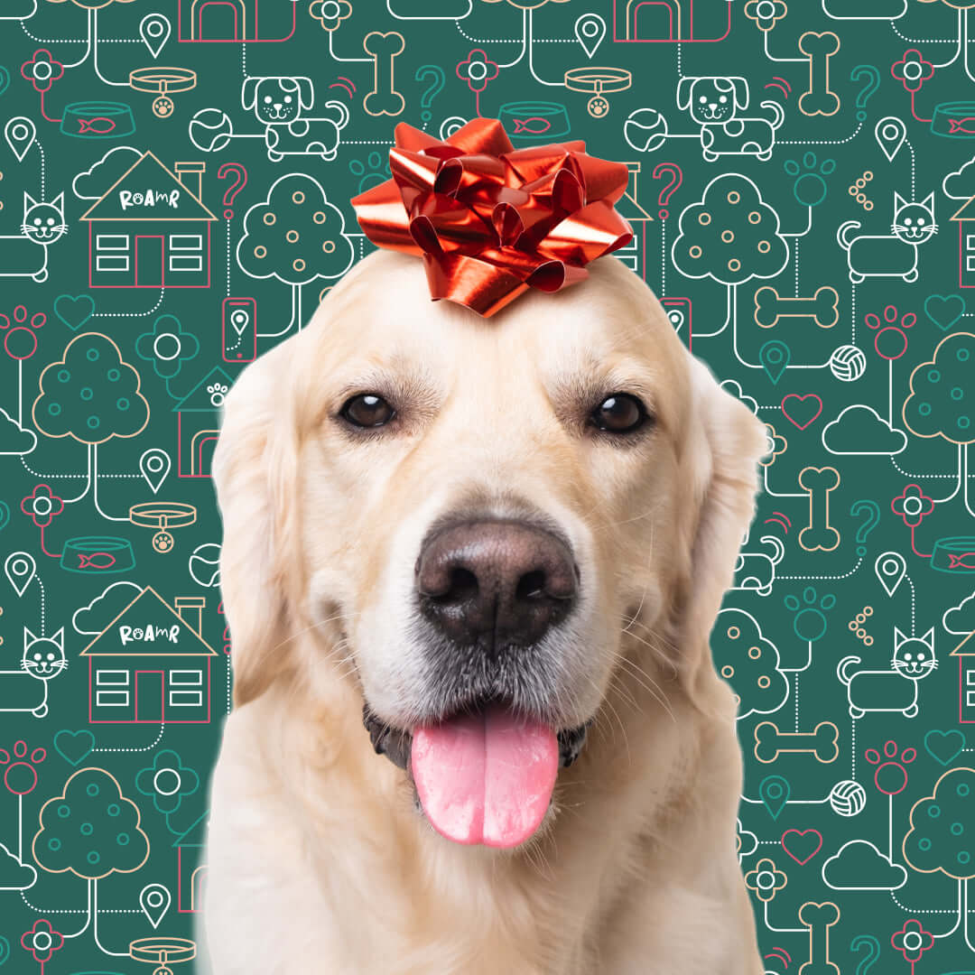 Happy golden retriever wearing a red bow, surrounded by playful pet-themed background elements.